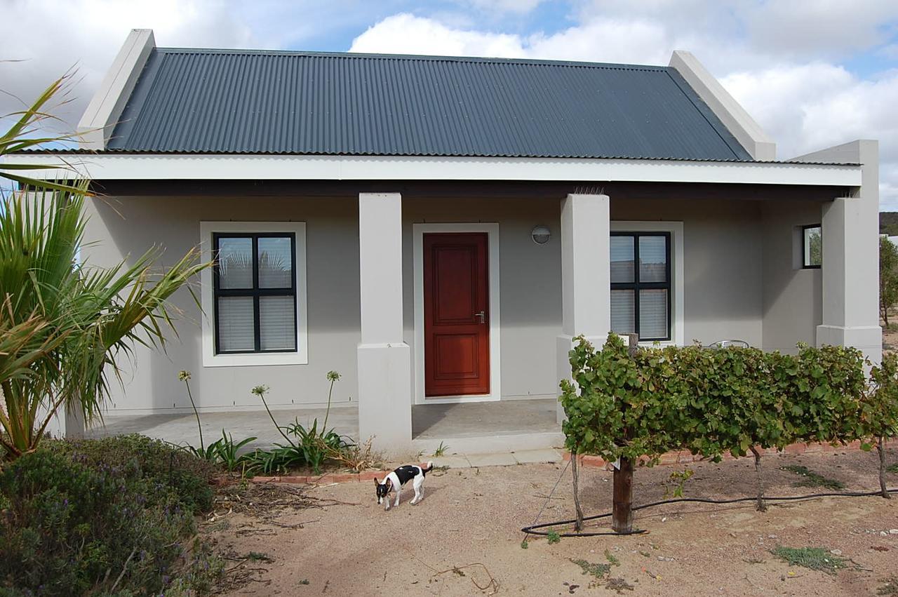 Gasthaus Longacre Olive & Vineyard Estate Langebaan Exterior foto