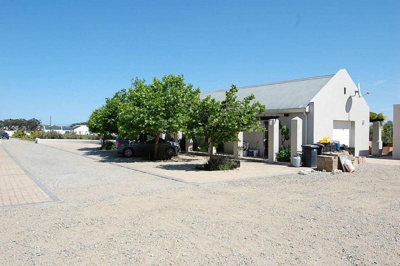 Gasthaus Longacre Olive & Vineyard Estate Langebaan Exterior foto