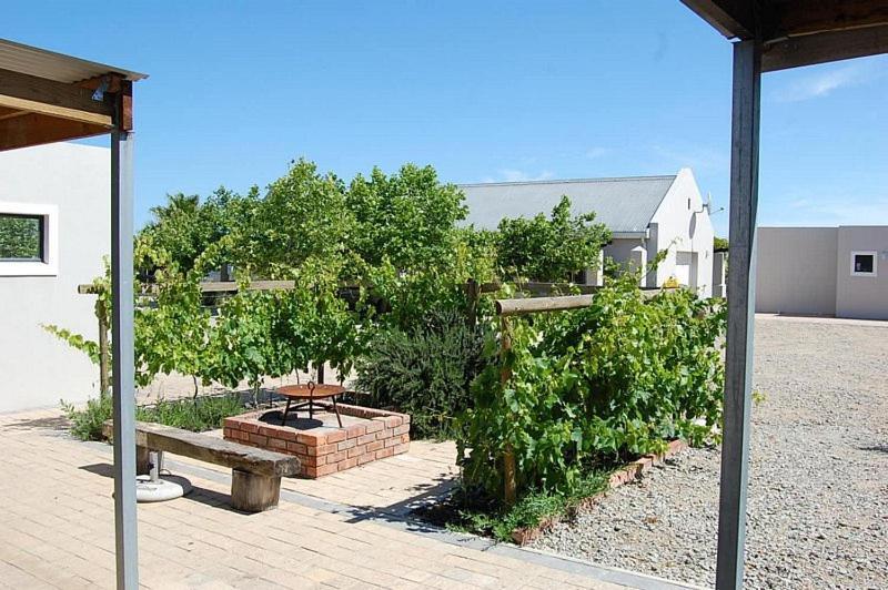 Gasthaus Longacre Olive & Vineyard Estate Langebaan Exterior foto